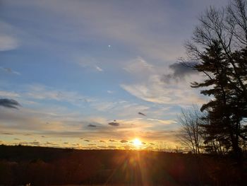 Silhouette trees against sky during sunset