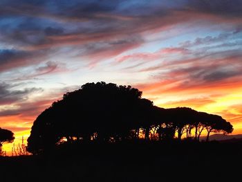 Silhouette trees against dramatic sky during sunset