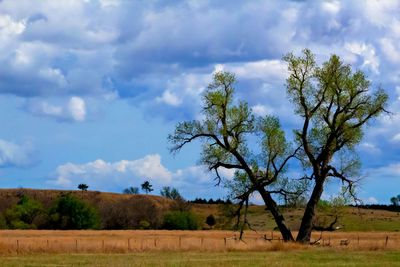 Scenic view of grassy field against cloudy sky