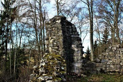 Low angle view of castle against trees