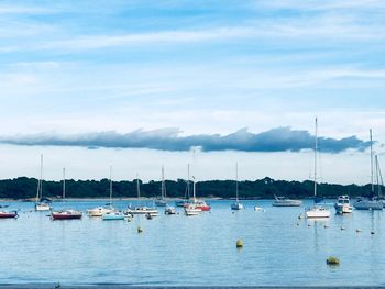 Sailboats moored in sea against sky