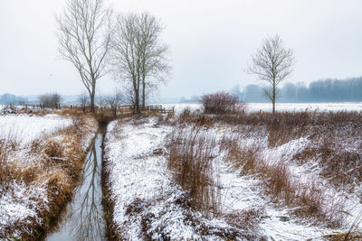 Bare trees on snow covered field against sky