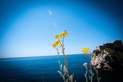 Scenic view of sea against clear blue sky