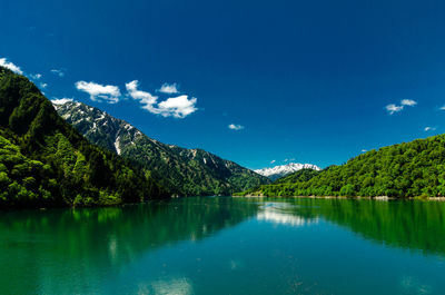 Scenic view of lake by trees against blue sky