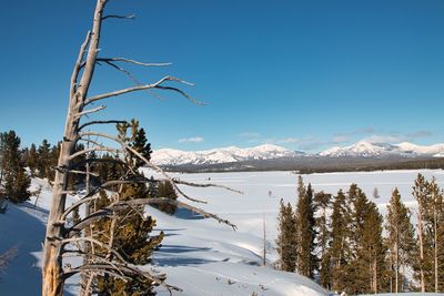 Scenic view of snowcapped mountains against blue sky