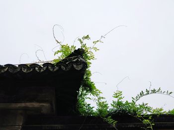 Low angle view of roof against sky