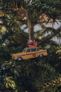 Christmas decorations hanging on tree