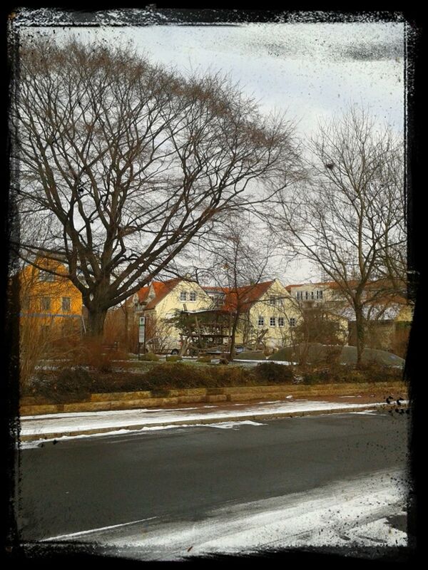 bare tree, transfer print, building exterior, tree, architecture, built structure, winter, snow, auto post production filter, cold temperature, season, house, branch, city, weather, residential building, residential structure, car, road, street