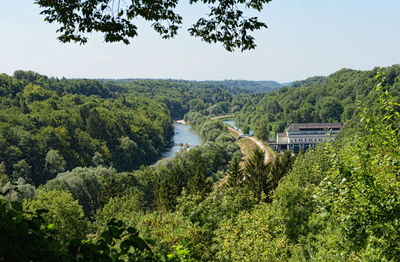 Scenic view of forest against clear sky