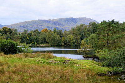 Scenic view of lake against sky