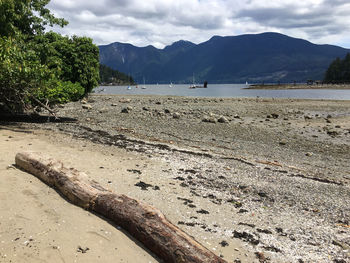 Scenic view of beach against sky