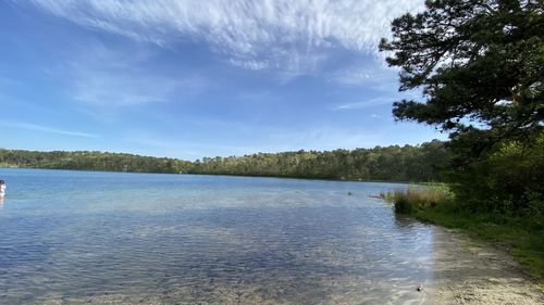 Scenic view of lake in forest against sky
