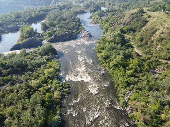 High angle view of plants growing on land