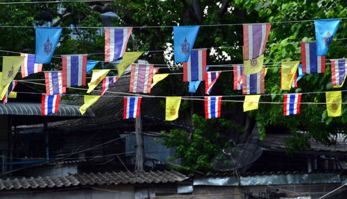 Close-up of multi colored flags hanging from tree