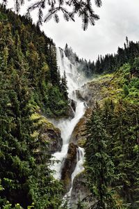 Scenic view of waterfall in forest against sky