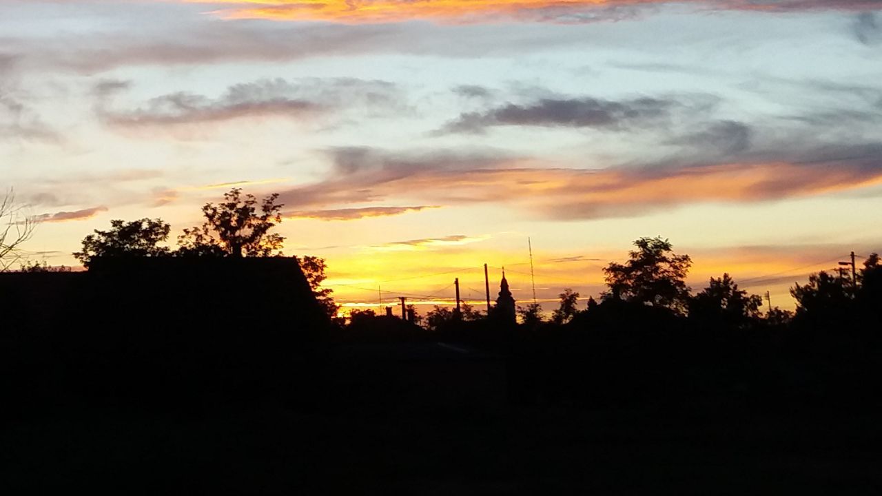 SILHOUETTE TREES AGAINST ORANGE SKY DURING SUNSET