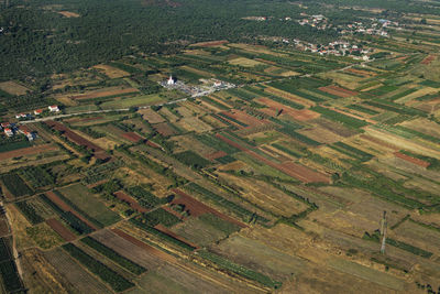 High angle view of agricultural field