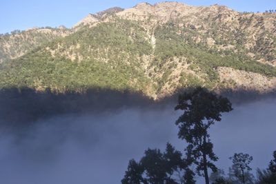Scenic view of tree mountains against sky