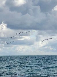 Birds flying over sea against sky