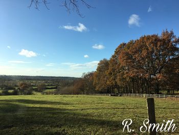 Trees on field against sky