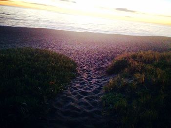 Close-up of beach against sky during sunset