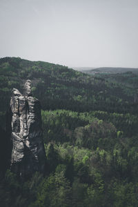 View of statue with trees in background