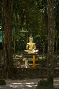 Buddha statue against trees in forest