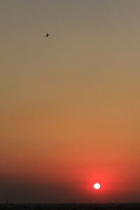 Bird flying against sky during sunset