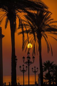 Silhouette palm trees against sky during sunset