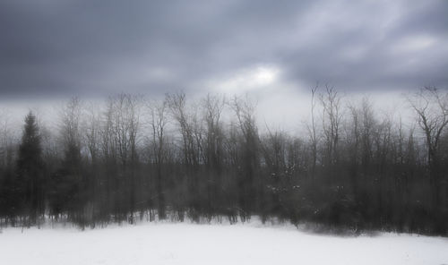 Bare trees on snow covered land against sky