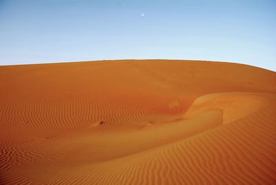 Another dawn desert shot, with the moon still visible