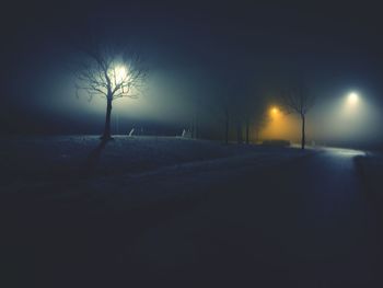 Road amidst bare trees on field during winter at night