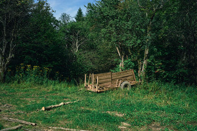 An abandoned wooden cart in a clearing by an old logging site in the middle of the forest.