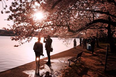 Rear view of people walking by trees against sky