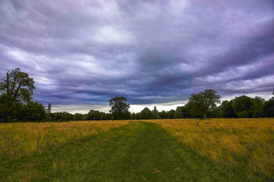 Scenic view of field against sky