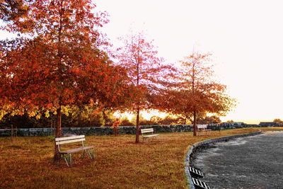 Trees in park during autumn against sky