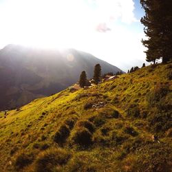 Scenic view of landscape against sky