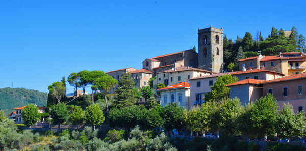 Trees and buildings against blue sky