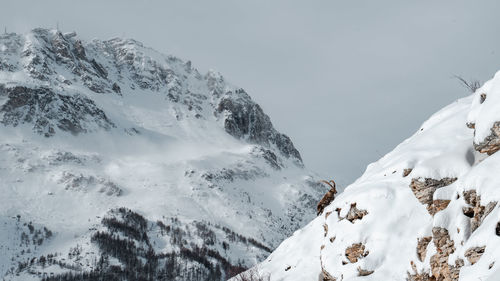 Snow covered mountains against sky