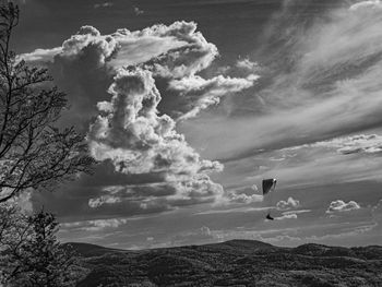 Low angle view of bird flying against sky