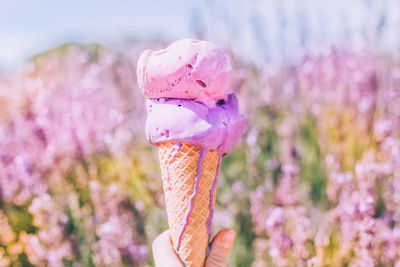 Close-up of hand holding pink flower