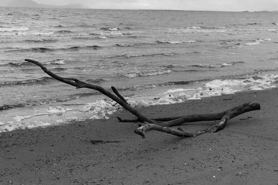 Scenic view of beach