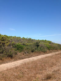 Scenic view of field against clear blue sky