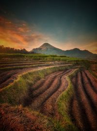 Scenic view of field against sky during sunset