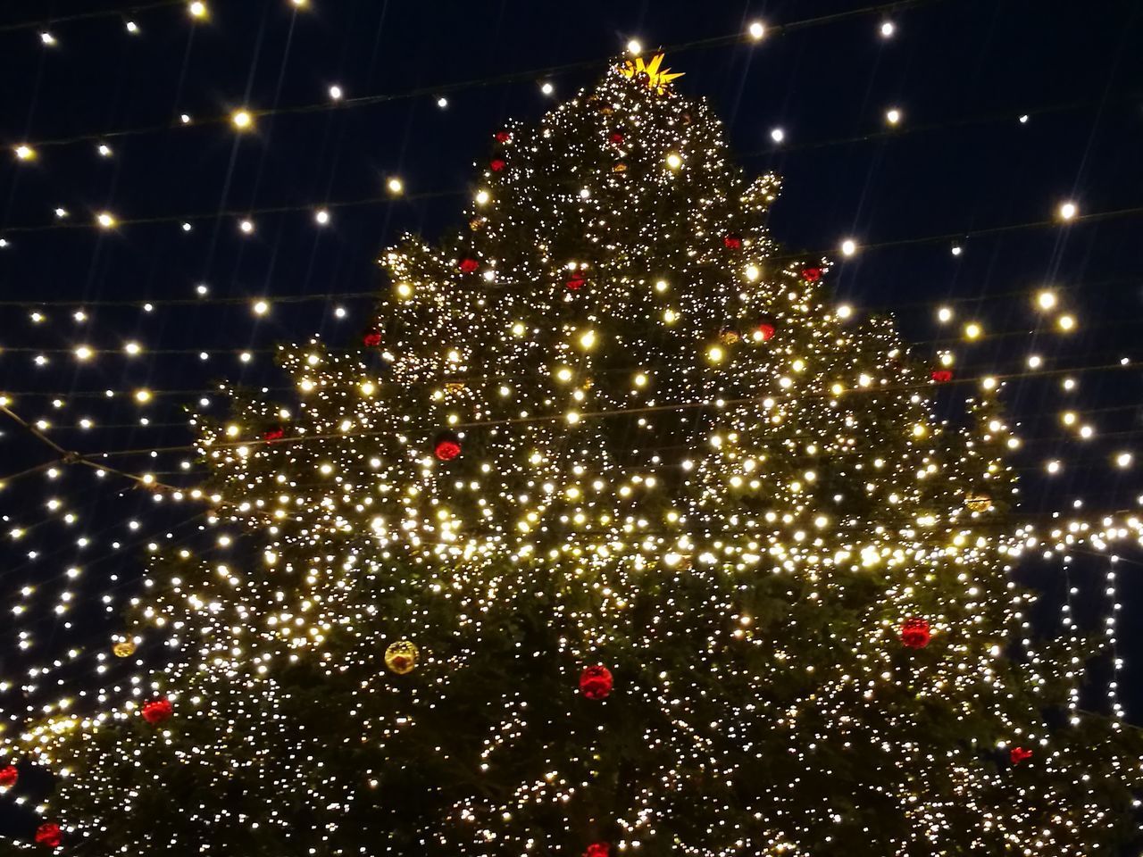 ILLUMINATED CHRISTMAS TREE AGAINST SKY