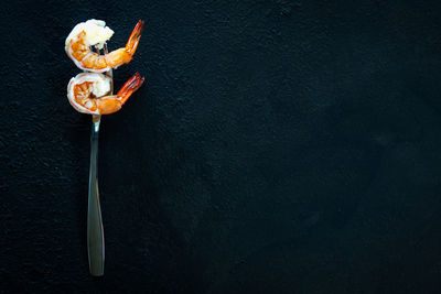 High angle view of bread on plate against wall