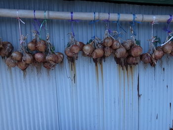 Clothes drying on clothesline