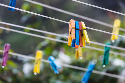 Close-up of water drops on clothesline