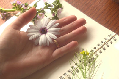 Close-up of hand holding purple flowering plant