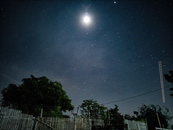 Low angle view of trees against sky at night